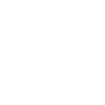 brain icon