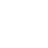 lock voice