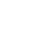 Mic icon